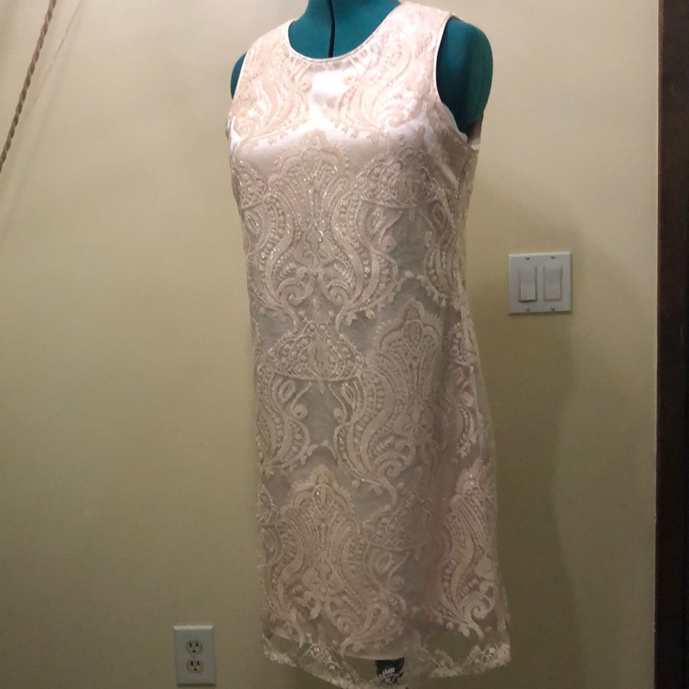 Beautiful blush sheath dress